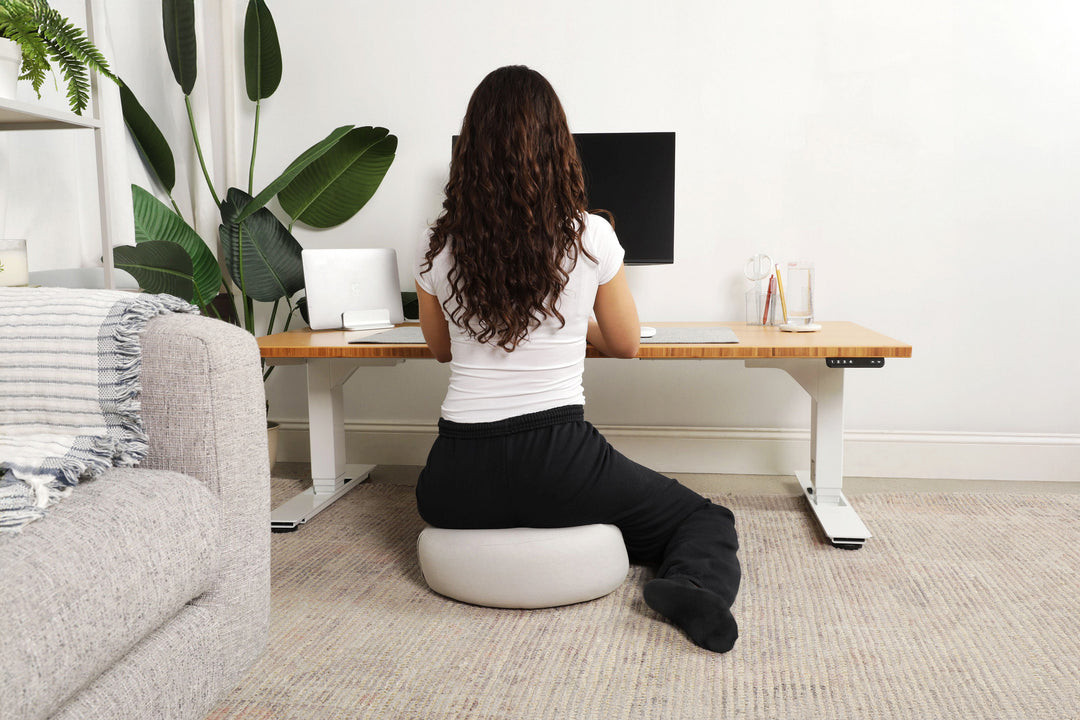 Lowdesk Pro Frame