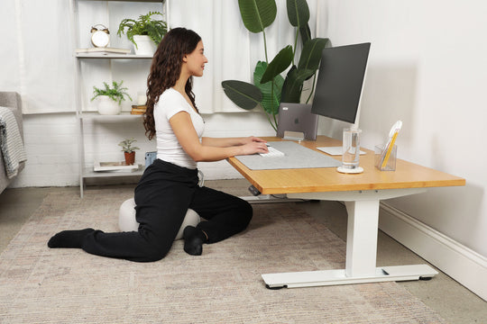 Lowdesk Pro Frame