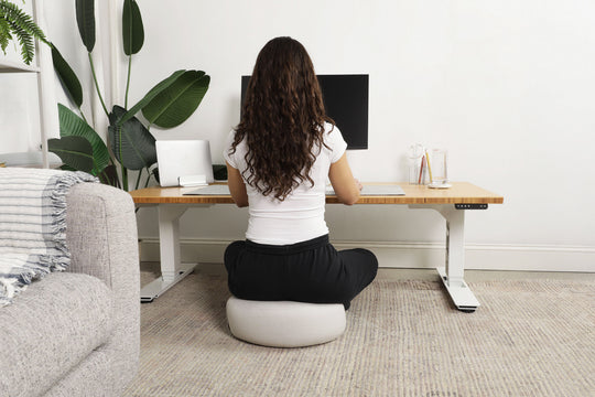 Lowdesk Pro Frame
