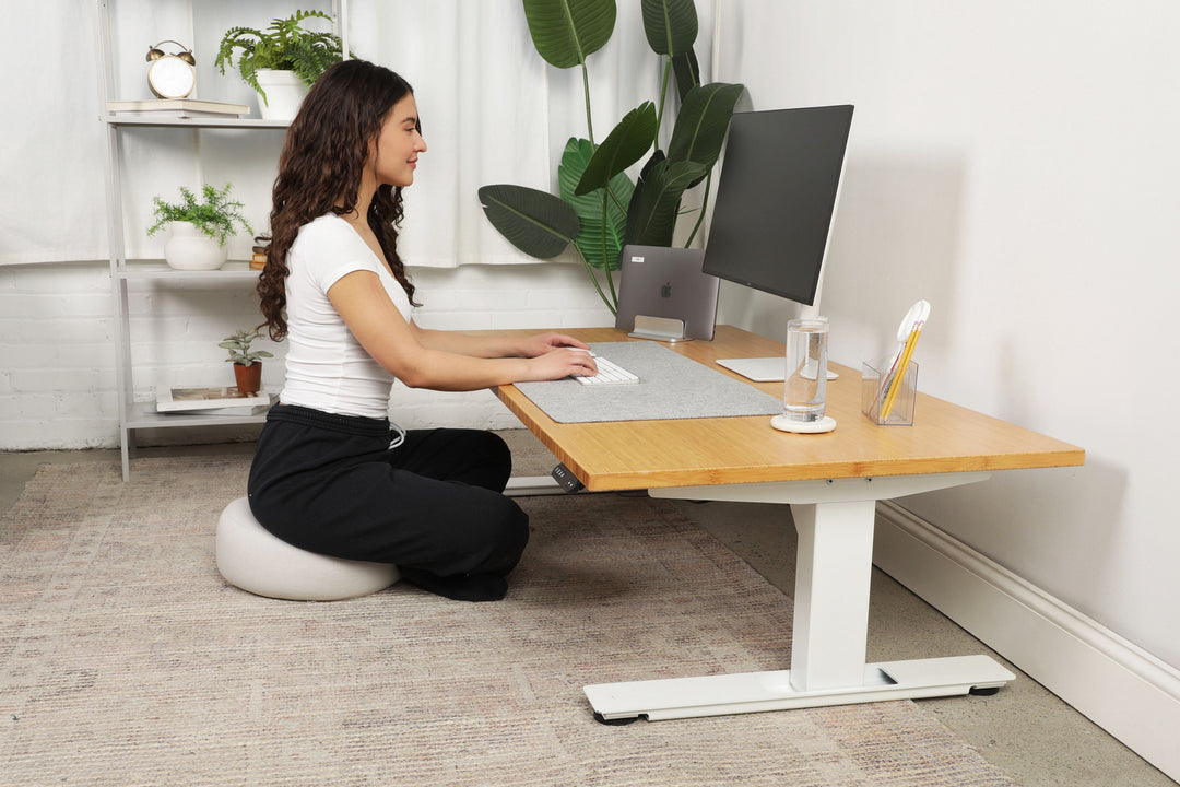 Lowdesk Pro Frame