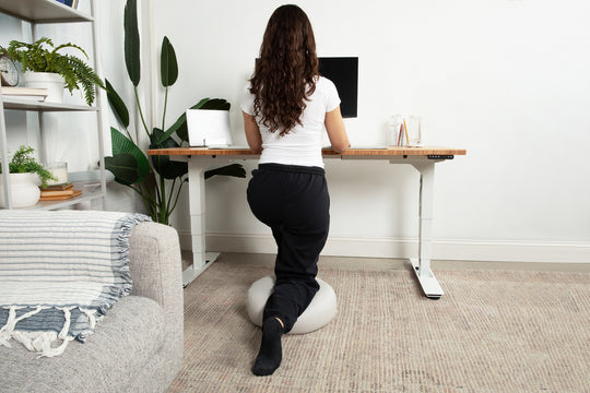 Lowdesk Pro Frame