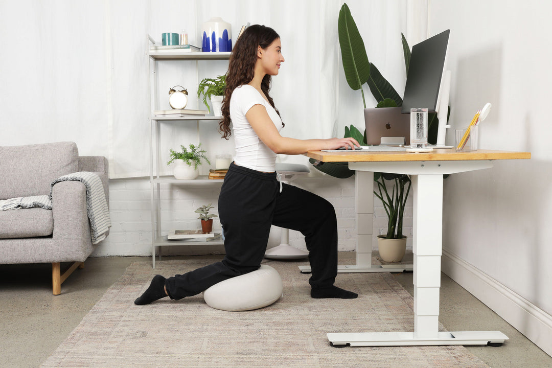 Lowdesk Pro Frame