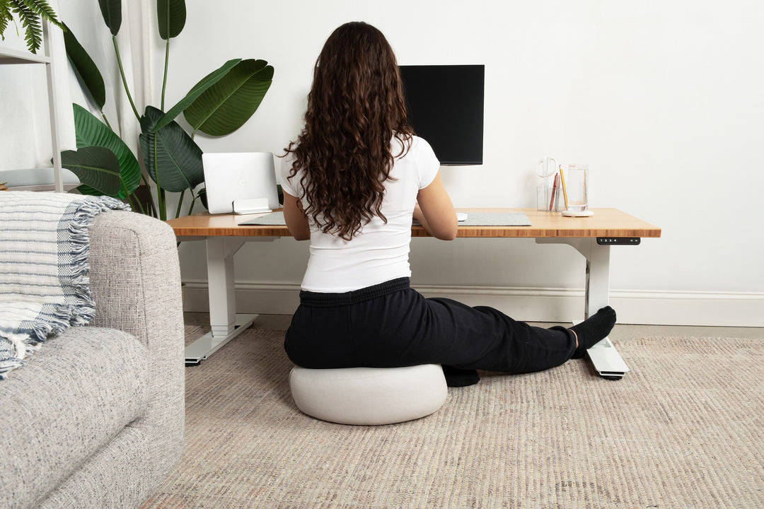 Lowdesk Pro Frame