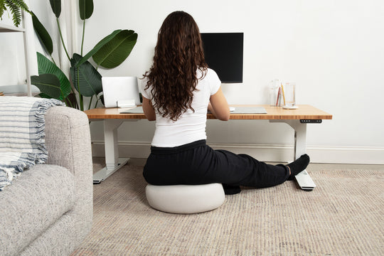 Lowdesk Pro Frame