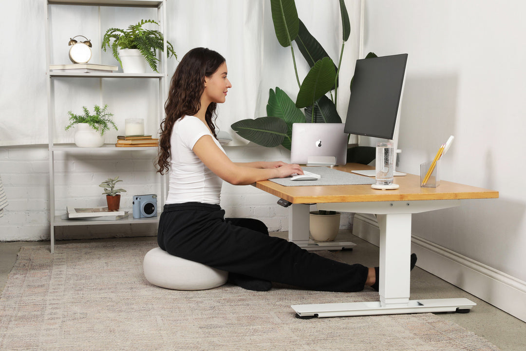 Lowdesk Pro Frame