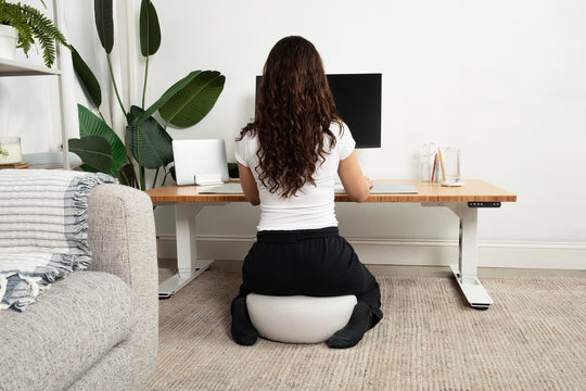 Lowdesk Pro Frame