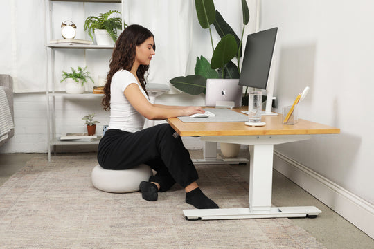 Lowdesk Pro Frame