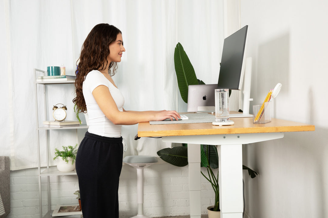Lowdesk Pro Frame