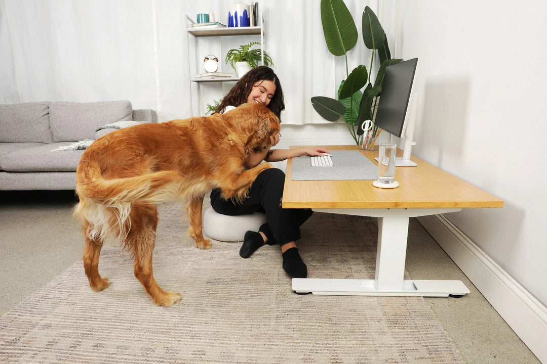 Why Customers Love Their Floor Sitting Desk