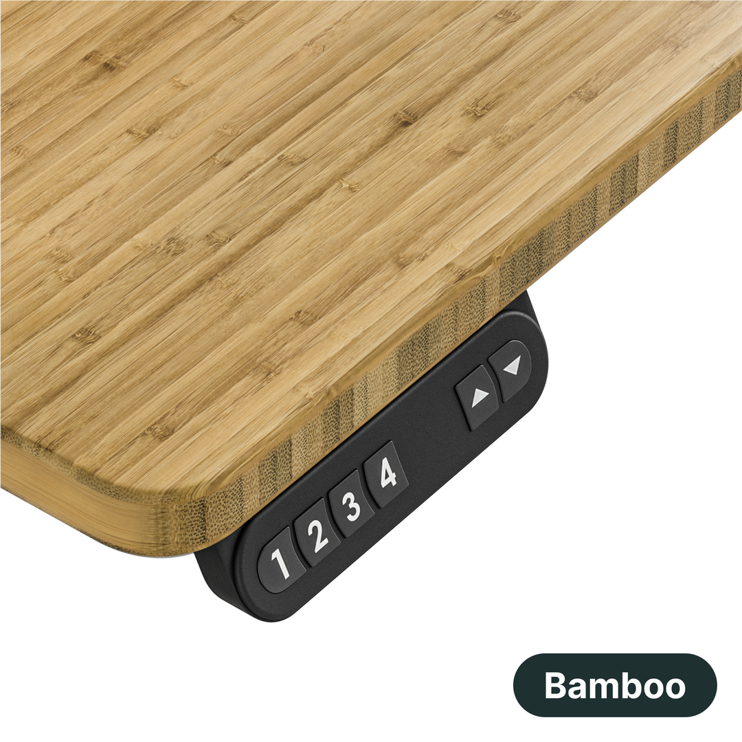 Lowdesk Pro