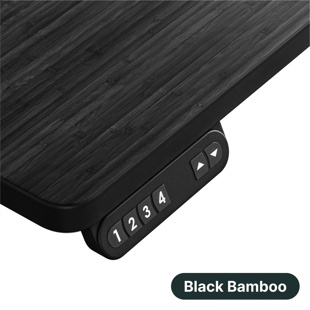 Lowdesk Pro