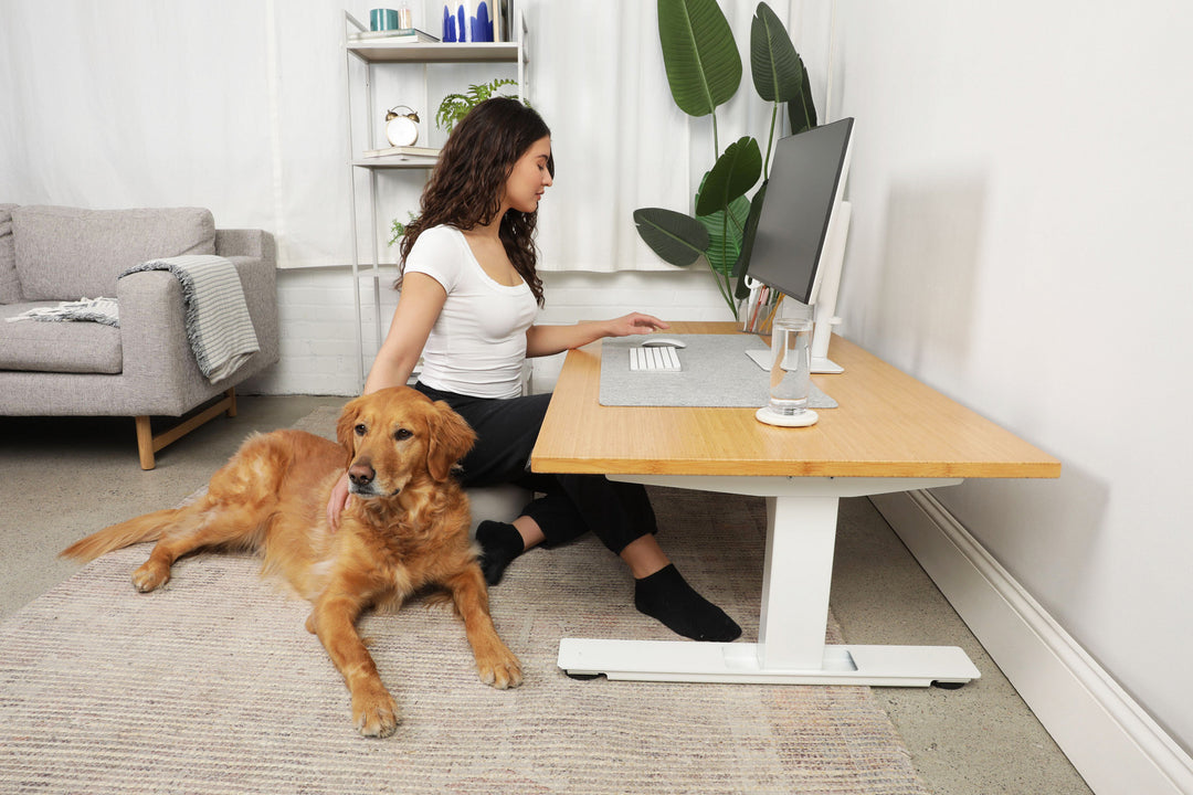 Lowdesk Pro