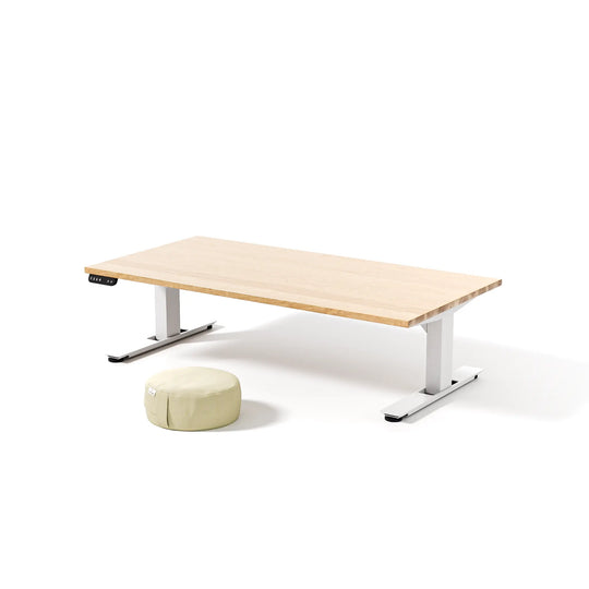 Organic Floor Cushion