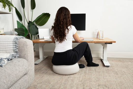 Lowdesk Pro