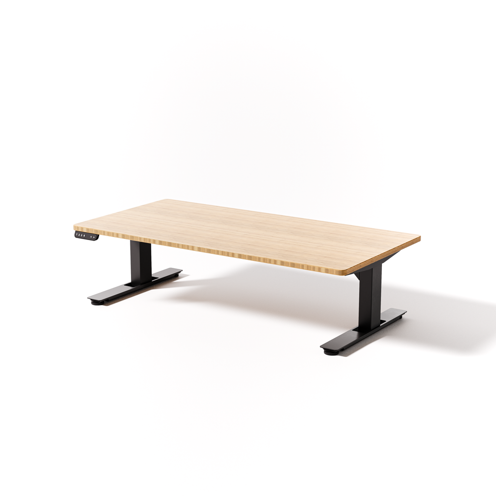 Lowdesk Pro
