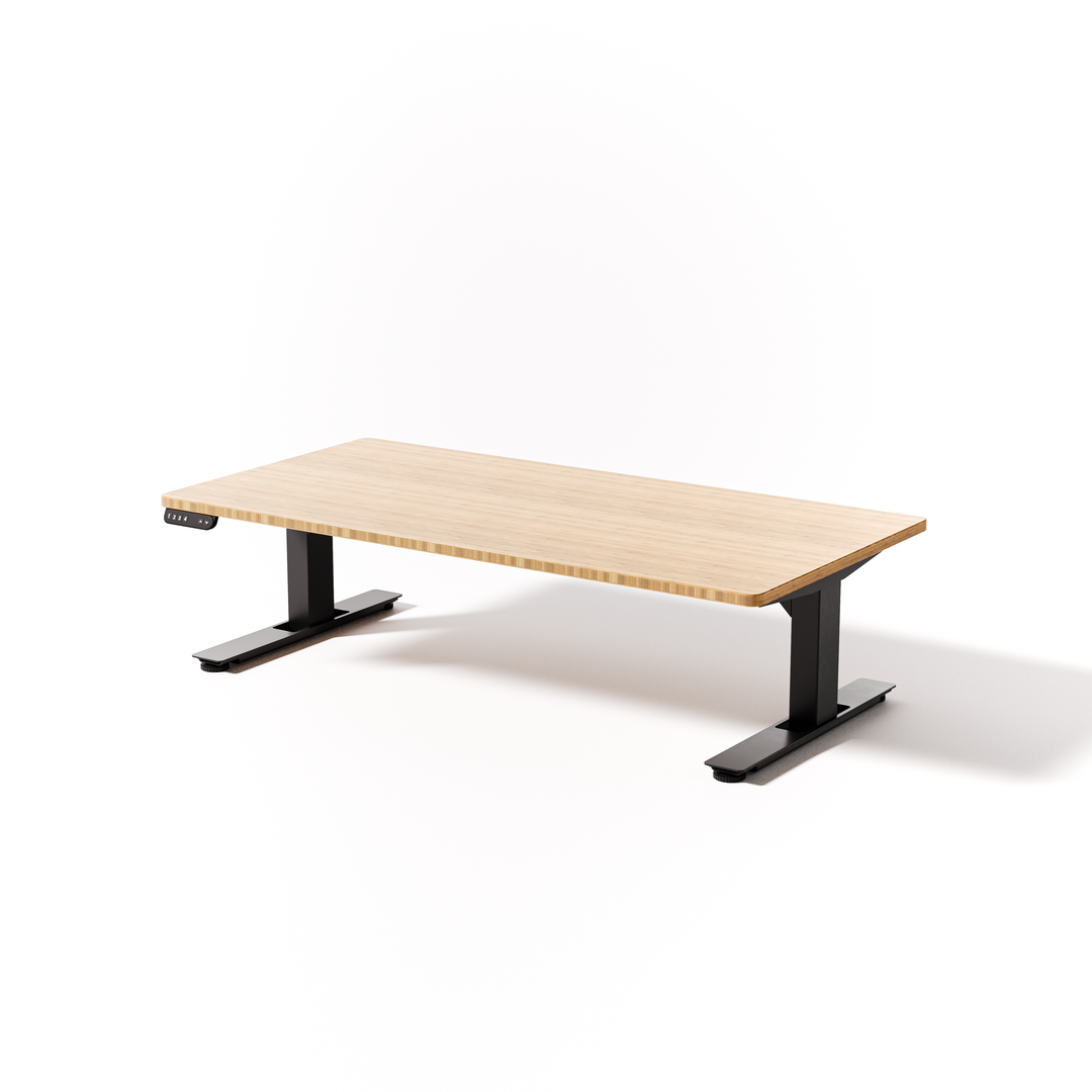 Lowdesk Pro