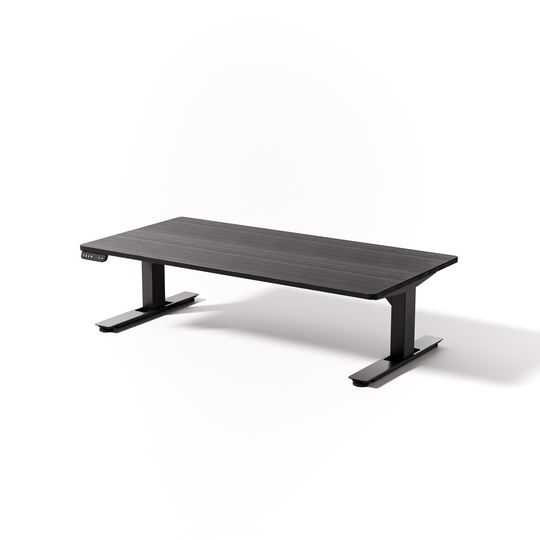 Lowdesk Pro