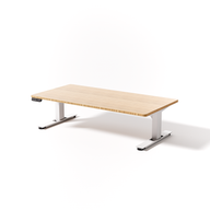 Lowdesk Pro
