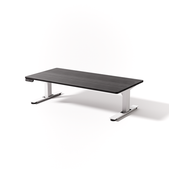 Lowdesk Pro