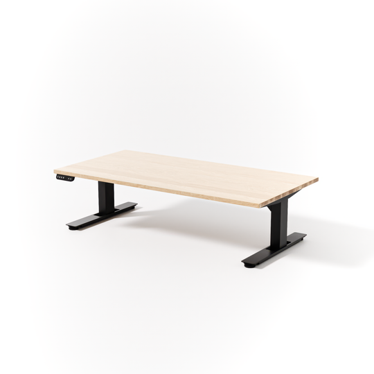 Lowdesk Pro