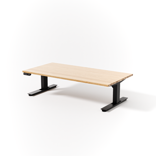 Lowdesk Pro