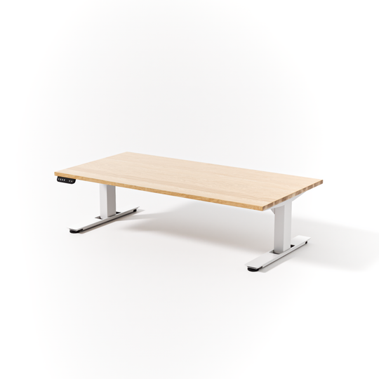 Lowdesk Pro